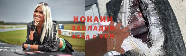 шишки Абаза