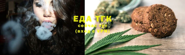 дмт Алзамай