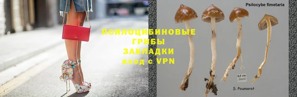 амф Алексеевка