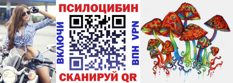 Псилоцибиновые грибы Cubensis  Донской 